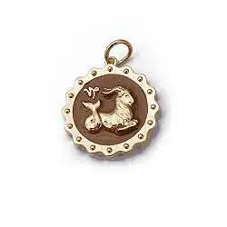 Carre Y charm medaille Zodiac - Capricorne