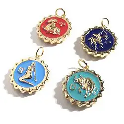 Y Paris charm medaille Zodiac