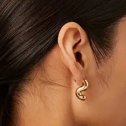 JennyBird earrings